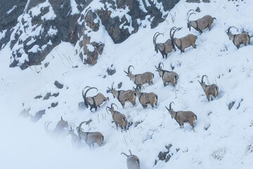 ببینید | ثبت تصاویری ناب از طبیعت بکر ایران