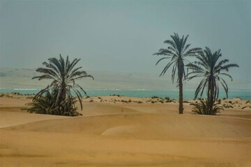 عکس | تصویری دیدنی از طبیعت بِکرِ سیستان و بلوچستان 