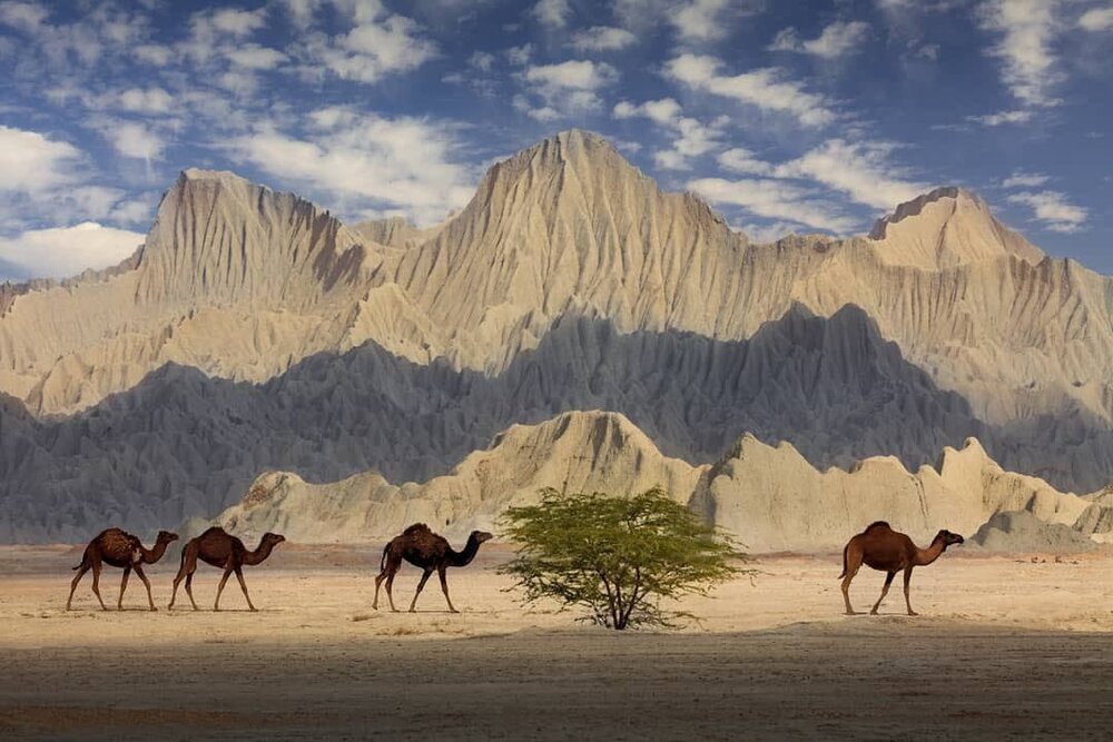 عکس | تصویری دیدنی از طبیعت بِکرِ سیستان و بلوچستان 