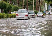 ببینید ‌| بارش شدید باران و آبگرفتگی معابر در رامسر