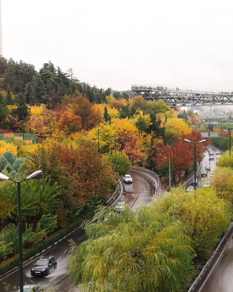 مناظر خیره کننده از تهران بارانی