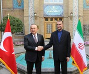وزير الخارجية يلتقي نظيره التركي في طهران