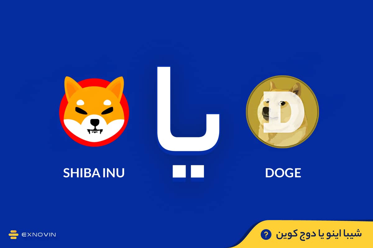 شیبا اینو یا دوج کوین؛ کدام یک بهتر است؟