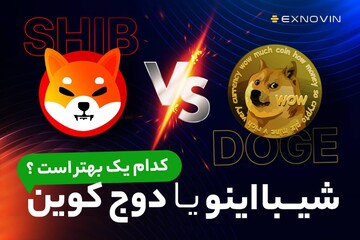 شیبا اینو یا دوج کوین؛ کدام یک بهتر است؟