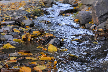 تصاویر | جذابیت جاده چالوس دوچندان شد