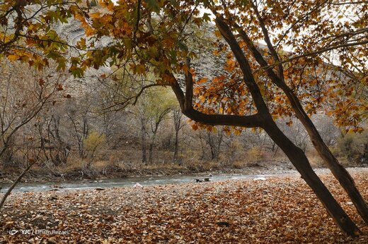 طبیعت پاییزی جاده چالوس