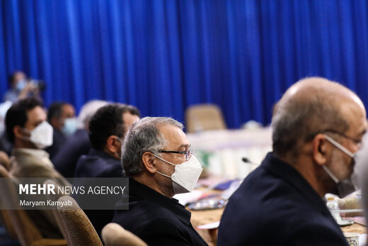 استاد دانشگاه تهران: شورای انقلاب فرهنگی در کارهایی دخالت می کند که در شانش نیست