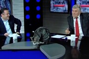 ببینید | حضور ناگهانی و خنده‌دار یک گربه در استودیوی شبکه الجزیره