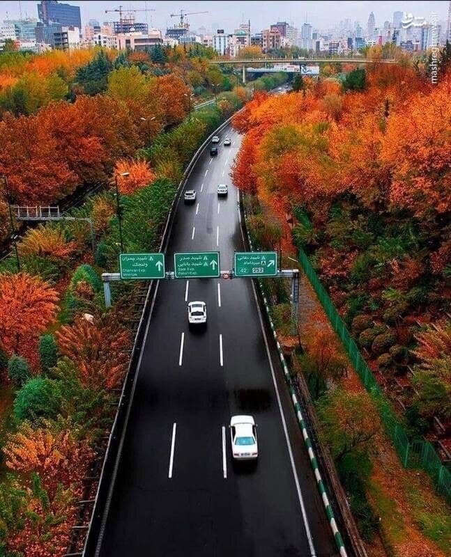 عکس | قابی زیبا از جشنواره رنگ‌ها در پاییز تهران