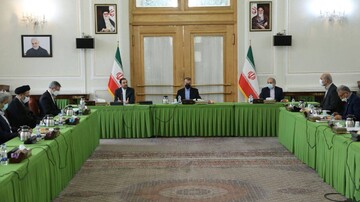 امیرعبداللهیان:بحث ایرانیان دو تابعیتی باید یک‌بار برای همیشه حل شود