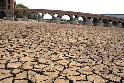 بشنوید| مثل خشخاش کاشت برنج در اصفهان را ممنوع کنید!