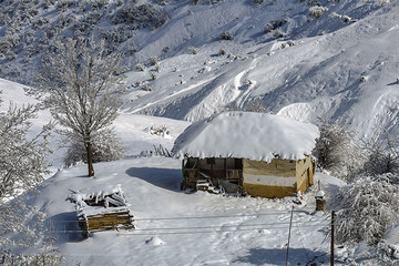 عکس | تصویری دل‌انگیز از طبیعت برفی و پاییزی فیلبند