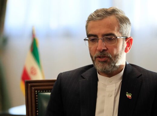 Iran determined to pursue sanctions removal in Vienna talks
