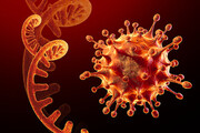 شناسایی ۶ مورد مبتلا به ویروس «اومیکرون» در یک کشور اروپایی