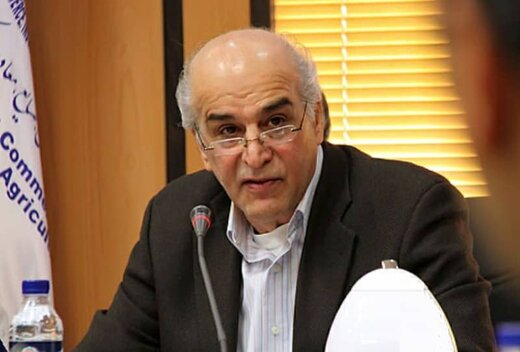 پیگیری مشکلات گردشگری یزد در شورای گفتگوی دولت و بخش خصوصی