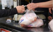 توزیع بیش از سه هزار و ۱۳۴تن مرغ در قزوین
