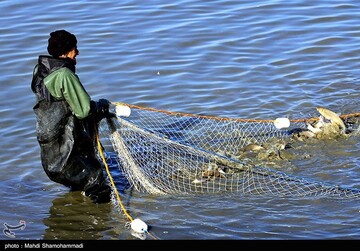 تصاویر | قاب‌هایی دیدنی از صید ماهی گرم‌‏آبی در تالاب عشق آباد- ری