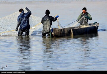 تصاویر | قاب‌هایی دیدنی از صید ماهی گرم‌‏آبی در تالاب عشق آباد- ری