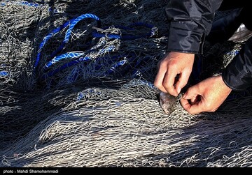 تصاویر | قاب‌هایی دیدنی از صید ماهی گرم‌‏آبی در تالاب عشق آباد- ری