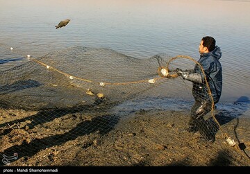 تصاویر | قاب‌هایی دیدنی از صید ماهی گرم‌‏آبی در تالاب عشق آباد- ری