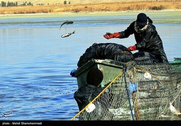 تصاویر | قاب‌هایی دیدنی از صید ماهی گرم‌‏آبی در تالاب عشق آباد- ری