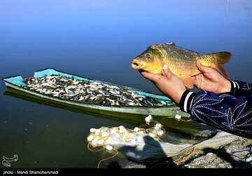 تصاویر | قاب‌هایی دیدنی از صید ماهی گرم‌‏آبی در تالاب عشق آباد- ری