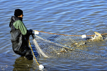 تصاویر | قاب‌هایی دیدنی از صید ماهی گرم‌‏آبی در تالاب عشق آباد