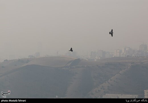 تصاویر | آلودگی هوای تهران