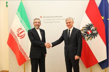 دیدار باقری کنی با وزیرخارجه اتریش
