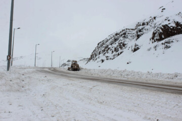 بارش برف در جاده چالوس؛ رانندگان مراقب باشند
