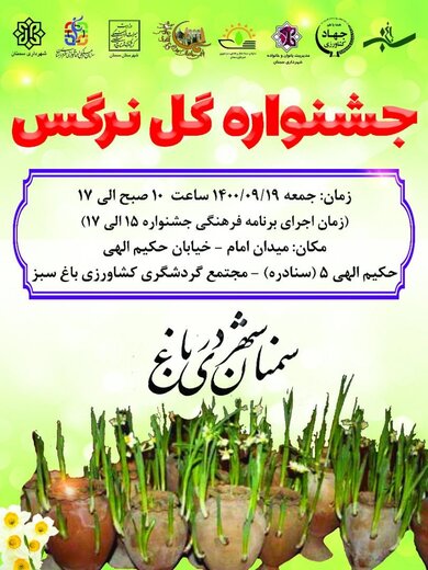 برگزاری جشنواره گل نرگس در سمنان