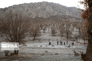 ماراتنی برای تحصیل