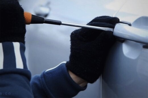 ببینید | مبارزه جانانه یک شهروند با دزد گستاخ؛ سرقت احمقانه پژو ۴۰۵ در روز روشن