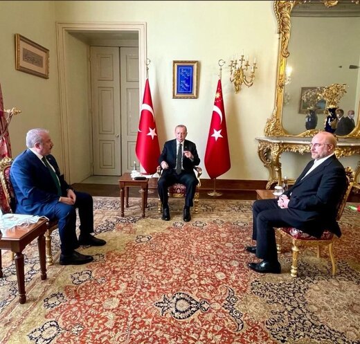 عکس دیدار قالیباف با اردوغان مناقشه برانگیز شد