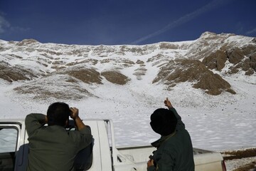 آغاز سرشماری جمعیت حیات وحش آذربایجان شرقی
