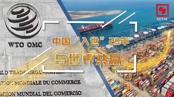 برد-برد؛ بهترین توصیف برای پیوستن چین به سازمان تجارت جهانی
