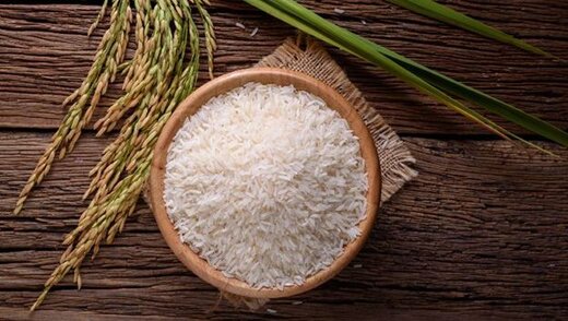 برنج طارم هاشمی، پرفروش ترین نوع برنج طارم - خبرآنلاین