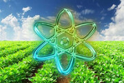 ببینید | انرژی هسته‌ای در خدمت صنعت کشاورزی