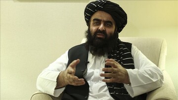 طالبان: القاعده در افغانستان حضور ندارد