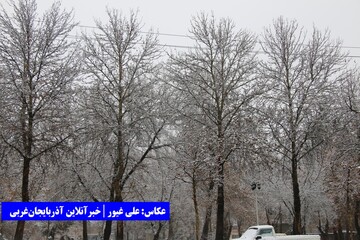 بارش اولین برف امسال ارومیه