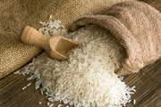 قیمت جدید برنج در بازار اعلام شد/ جدول قیمت