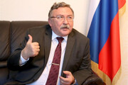 گزارش اولیانوف از دیدار برجامی با مقام آمریکایی