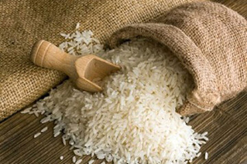 تایید رسمی دولت از گرانی ۶۸ درصدی برنج/ برنج حکم طلا گرفت