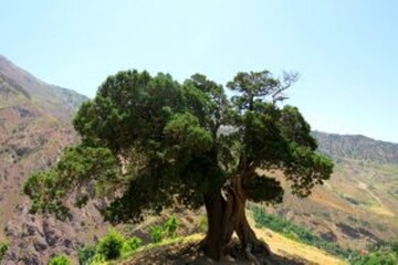 ثبت ملی پنج اثر طبیعی قزوین 