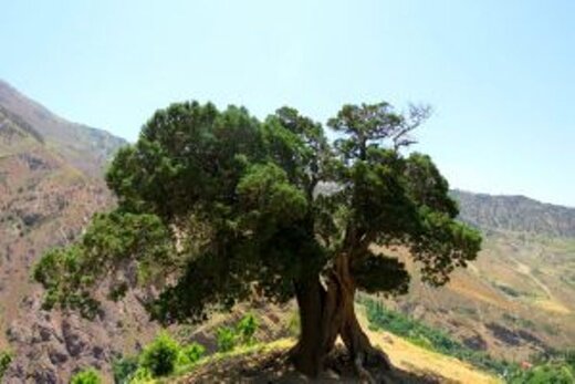 ثبت ملی پنج اثر طبیعی قزوین 