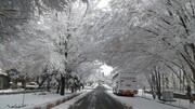 ببینید | بارش سنگین برف در سومین روز زمستان، تبریز را اینگونه سفید کرد!