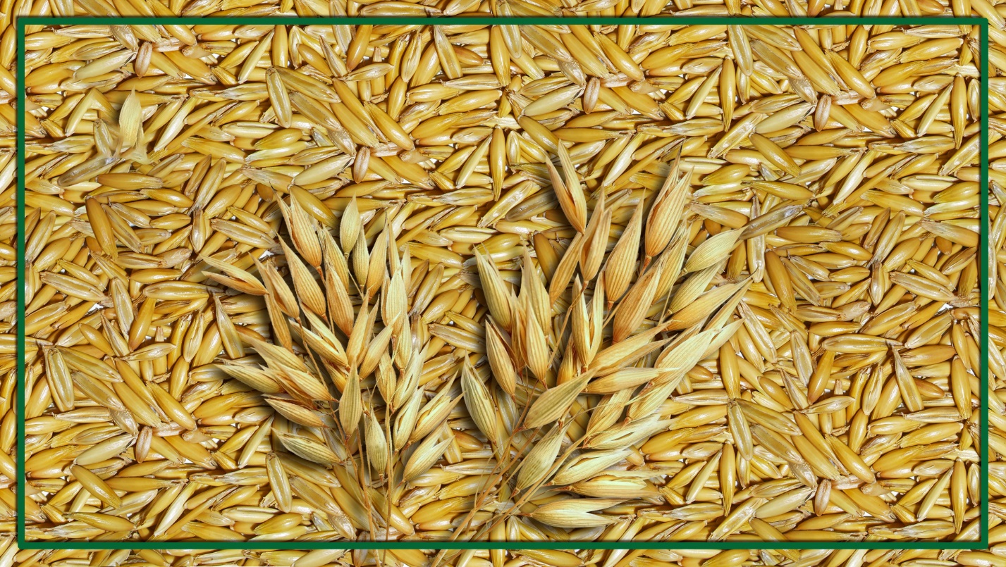 اوت میل یا میان وعده جو دوسر چیست؟ 