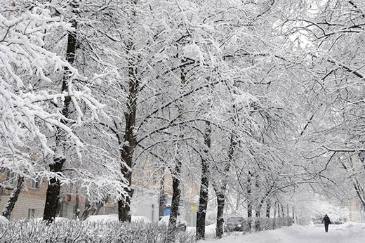 فیروزکوه ۱۱ درجه زیر یخبندان/ پیش‌بینی هوای تهران در هفته آینده 