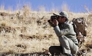 کشف و ضبط هفت قبضه اسلحه از شکارچیان غیرمجاز در سلسله
