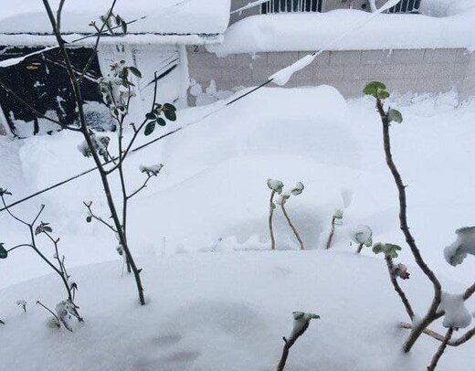 آغاز بارش برف وباران در جاده‌های  کوهستانی و مسدودی راه‌ها